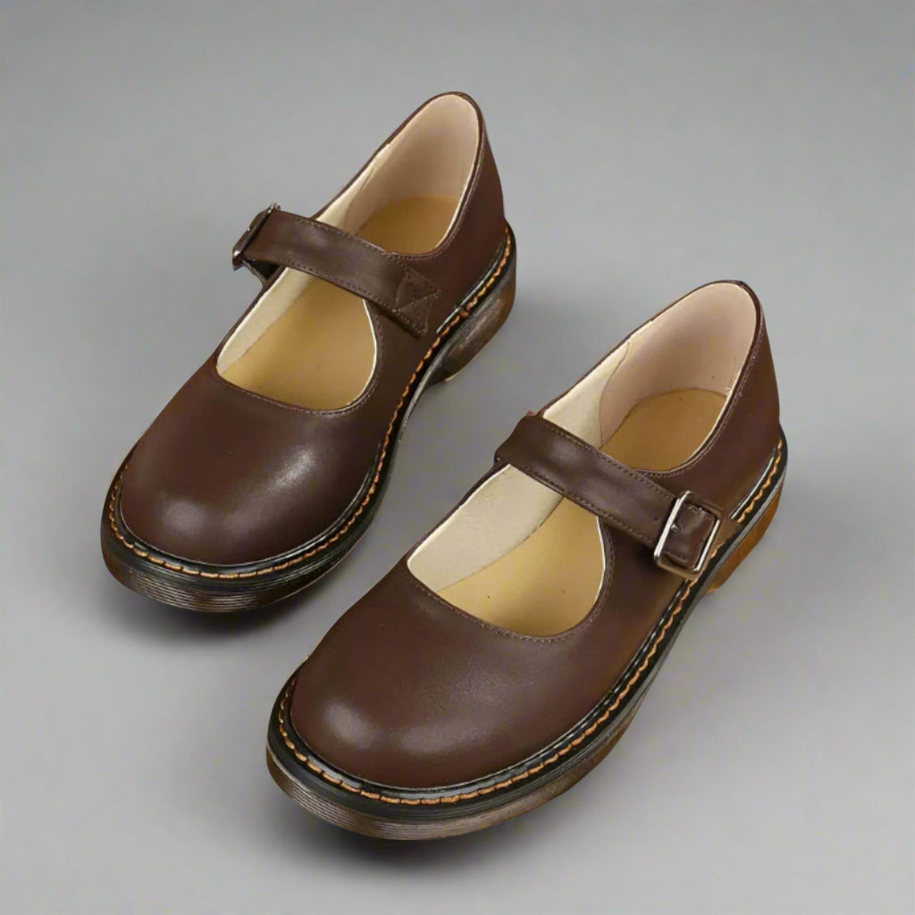 The Mary Jane Vintage Shoes