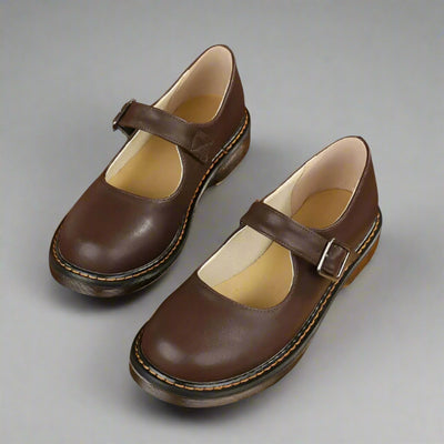 The Mary Jane Vintage Shoes