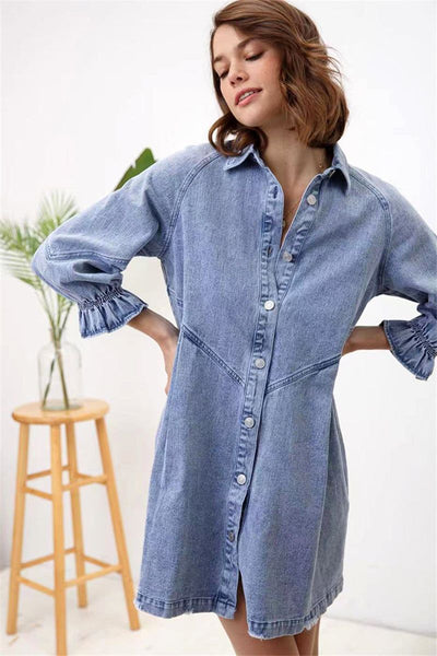The Timeless Classic Denim Dress